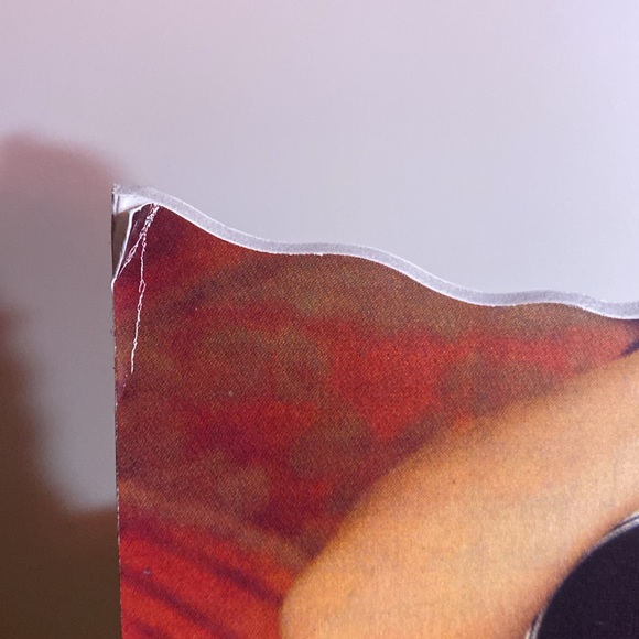 Shania Twain tabletop Standee Cardboard Display - Picture 2 of 9